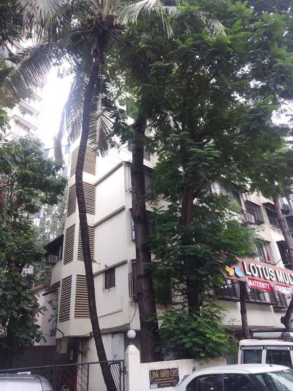 1 BHK Apartment For Rent in Link Bird CHS