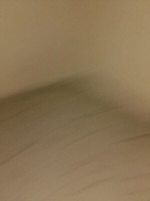 Room in 1 BHK Builder Floor at Sukhliya – for Rent