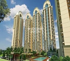 3 BHK + Servant Room Apartment For Rent in ATS Dolce