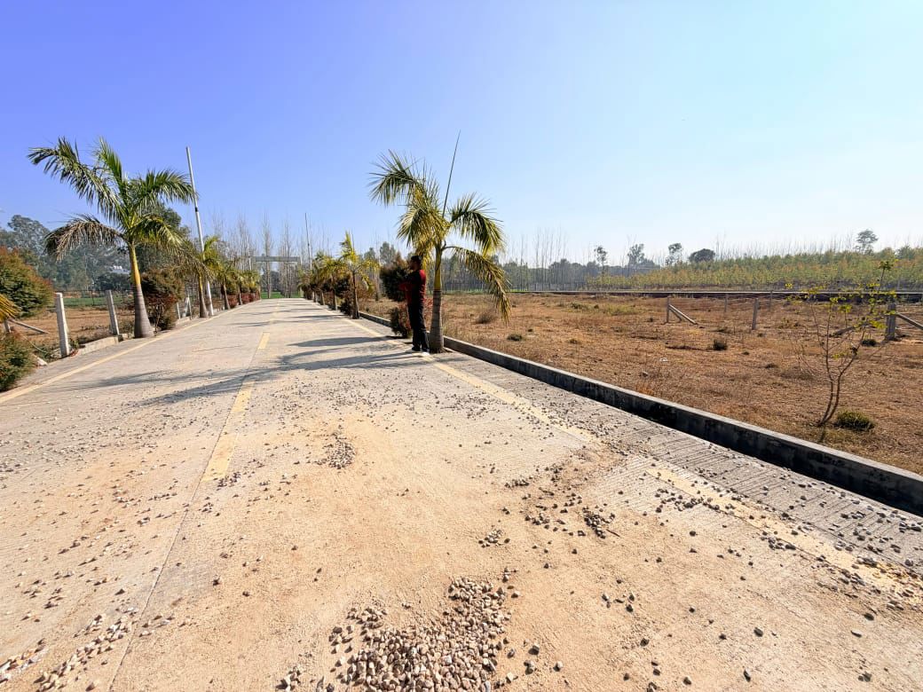 Plot For Sale in Biharigarh
