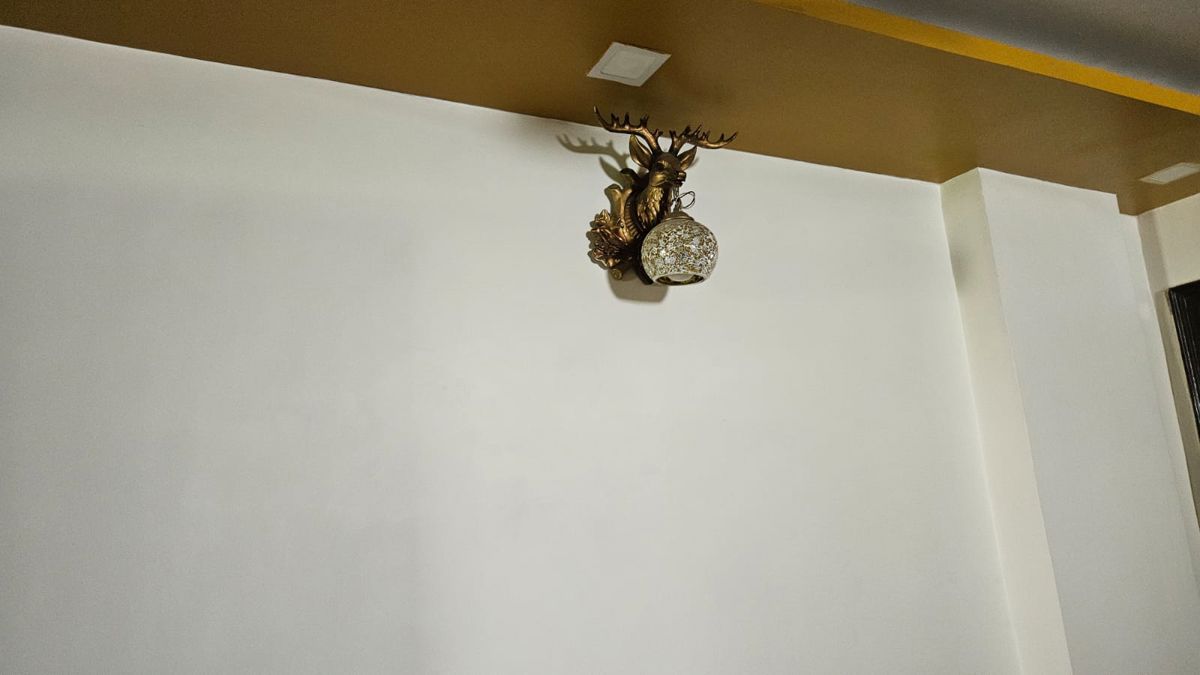 2 BHK + Servant Room Builder Floor For Rent in Malviya Nagar