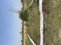 Plot For Sale in Raj Nagar Extension
