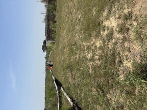 Plot Area in  Plot at Raj Nagar Extension – for Sale