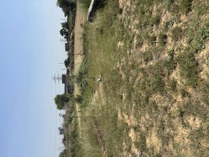 Plot Area in  Plot at Raj Nagar Extension – for Sale