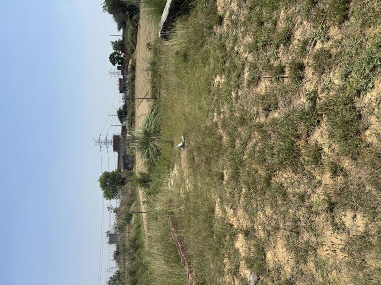 undefined, raj nagar extension  900 Sq.Ft. Plot In Raj Nagar Extension Ghaziabad 10285326