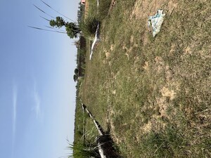 Plot Area in  Plot at Raj Nagar Extension – for Sale