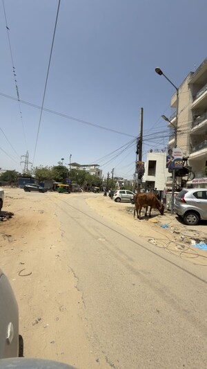 6+ BHK Independent House – Exterior View View at Ajmer Road - for Sale