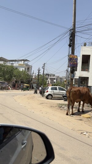 6+ BHK Independent House – Exterior View View at Ajmer Road - for Sale