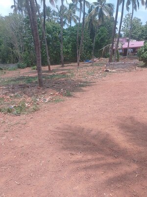 Plot Area in  Plot at Ayyanthole – for Sale
