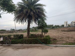 Plot Area in  Plot at Mullanpur – for Sale