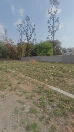 Plot For Sale in Canal Road