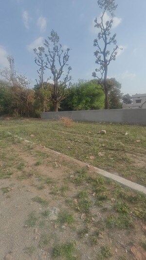  Plot For Sale in Canal Road
