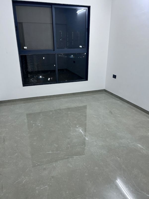 2 BHK Apartment For Sale in Regency Astra