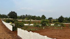 Plot For Sale in Kasna