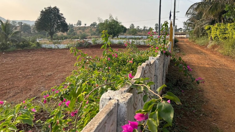 Garden, kasna  1134 Sq.Ft. Plot In Kasna Greater Noida 10286213