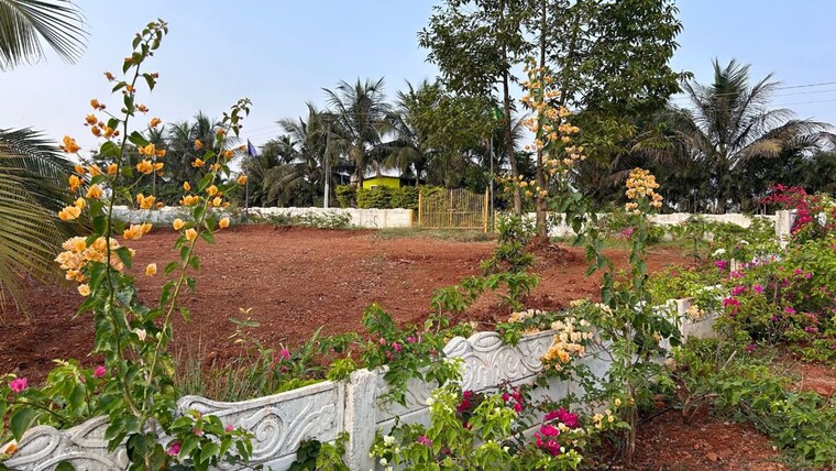 Garden, kasna  958 Sq.Ft. Plot In Kasna Greater Noida 10286197