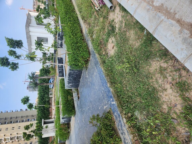 Garden, jms-the-pearl  131 Sq.Yd. Plot In Sector 95 Gurgaon 10286345