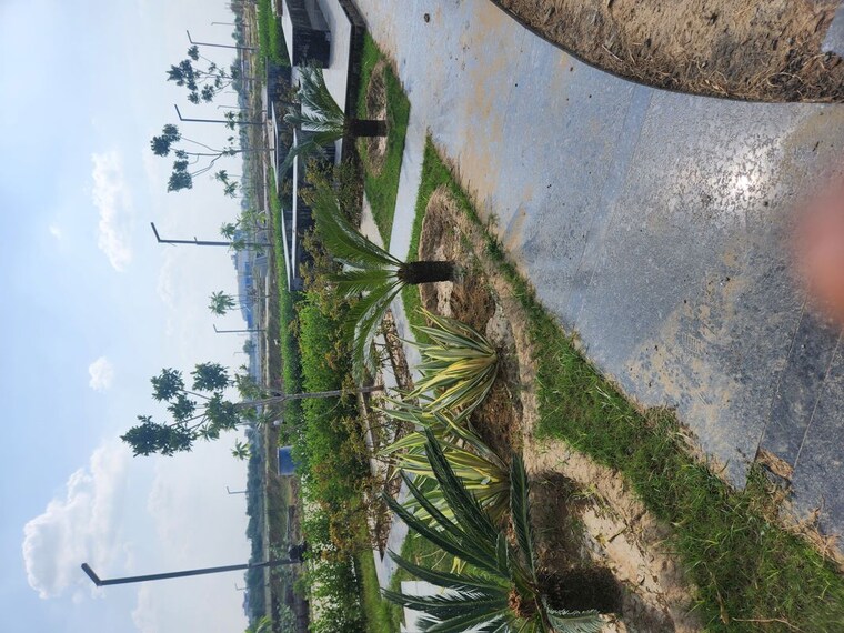 undefined, jms-the-pearl  131 Sq.Yd. Plot In Sector 95 Gurgaon 10286384