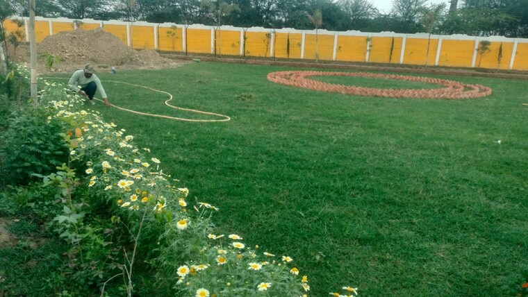 Garden, vj-sanjivani-enclave Commercial Land 756 Sq.Ft. In Mohanlalganj Lucknow 10193773