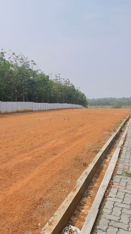 Plot For Sale in Sector 39A Noida
