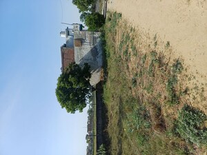  Plot For Sale in Nacholi