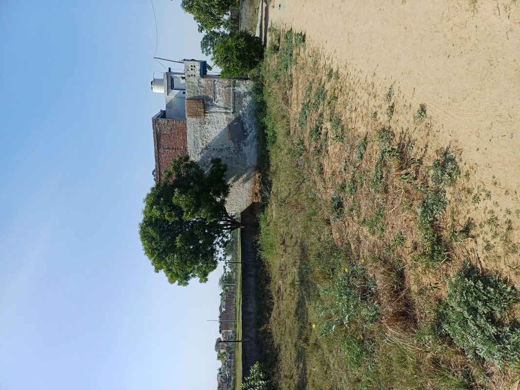 Plot For Sale in Nacholi