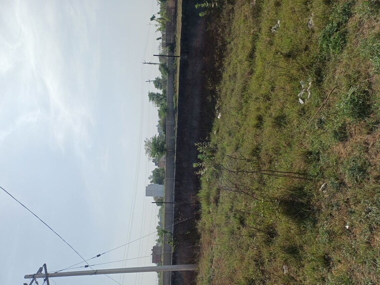 Garden, nacholi  50 Sq.Yd. Plot In Nacholi Faridabad 10287773