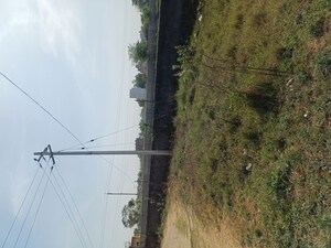  Plot – Exterior View View at Nacholi - for Sale