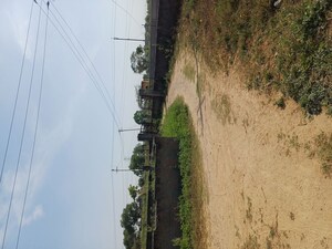  Plot – Exterior View View at Nacholi - for Sale