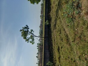  Plot – Garden View at Nacholi - for Sale