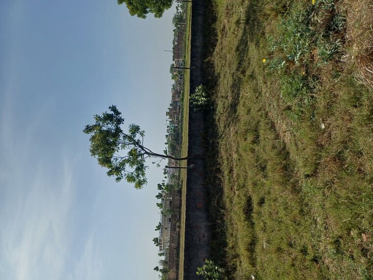 Garden, nacholi  55 Sq.Yd. Plot In Nacholi Faridabad 10287869