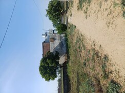 Plot For Sale in Nacholi