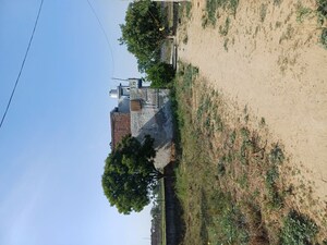  Plot For Sale in Nacholi