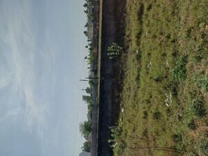  Plot – Garden View at Nacholi - for Sale