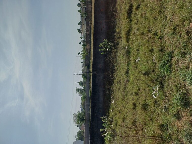 Garden, nacholi  55 Sq.Yd. Plot In Nacholi Faridabad 10287869