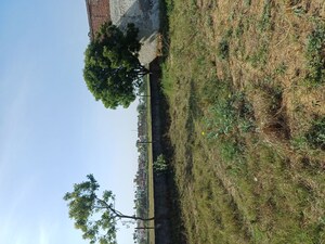  Plot – Garden View at Nacholi - for Sale