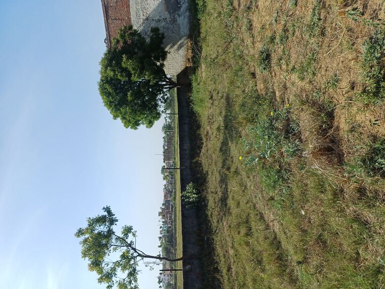 Garden, nacholi  60 Sq.Yd. Plot In Nacholi Faridabad 10287891