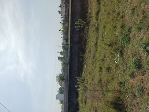  Plot – Garden View at Nacholi - for Sale