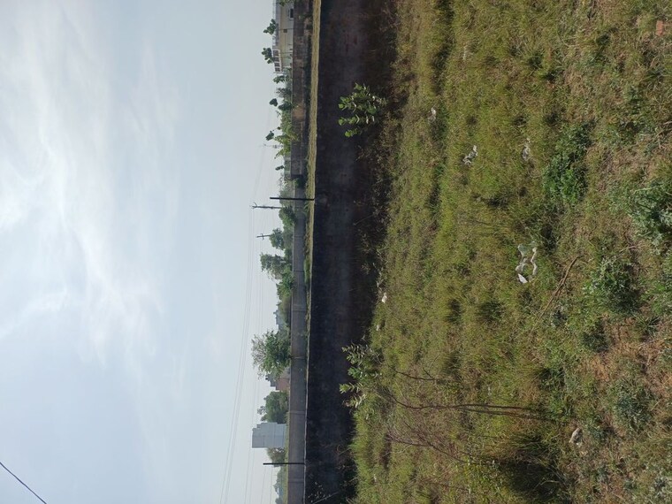 Garden, nacholi  60 Sq.Yd. Plot In Nacholi Faridabad 10287891
