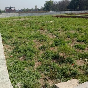 Plot Area in  Plot at Parao – for Sale