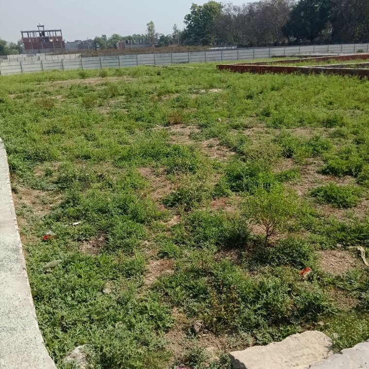 undefined, parao  1000 Sq.Ft. Plot In Parao Varanasi 10288080