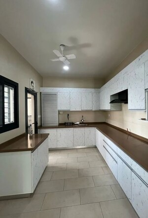 Kitchen in 3 BHK Apartment at Sobha City Gurgaon, Sector 108 – for Rent