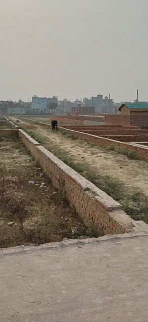 Plot Area in  Plot at Palla – for Sale