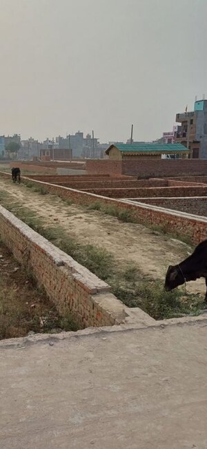 Plot Area in  Plot at Palla – for Sale