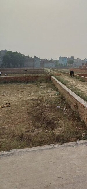 Plot Area in  Plot at Palla – for Sale