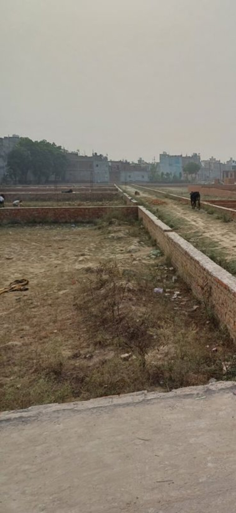 undefined, palla  90 Sq.Yd. Plot In Palla Faridabad 10288343