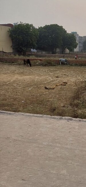 Plot Area in  Plot at Palla – for Sale