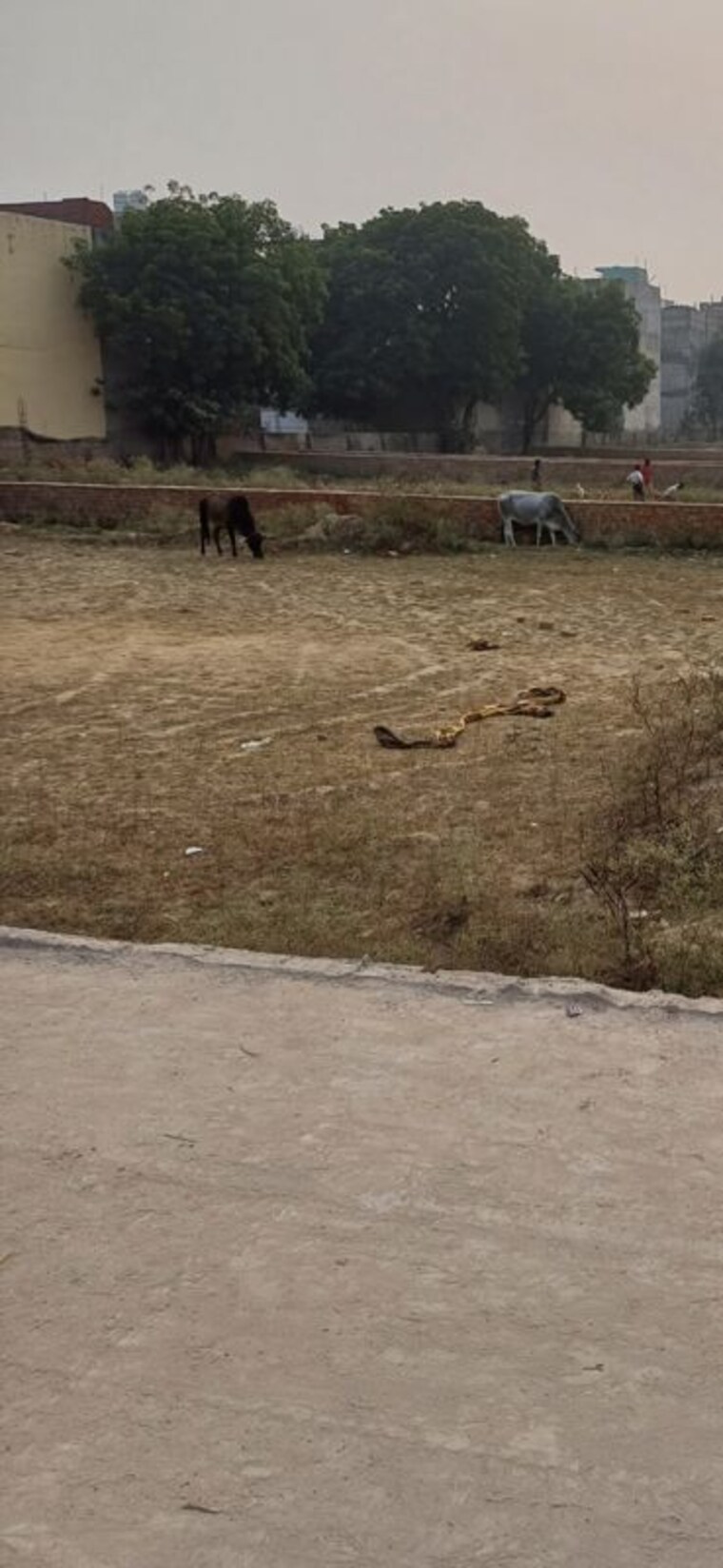 undefined, palla  90 Sq.Yd. Plot In Palla Faridabad 10288482