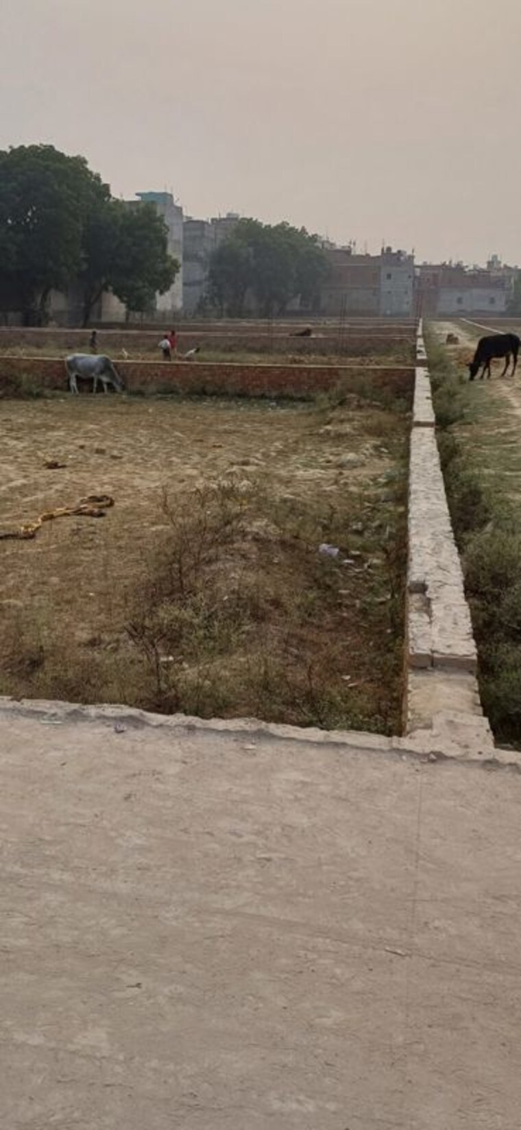 undefined, palla  90 Sq.Yd. Plot In Palla Faridabad 10288552