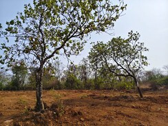 Plot For Sale in Konkan Nagar